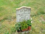 image of grave number 346142